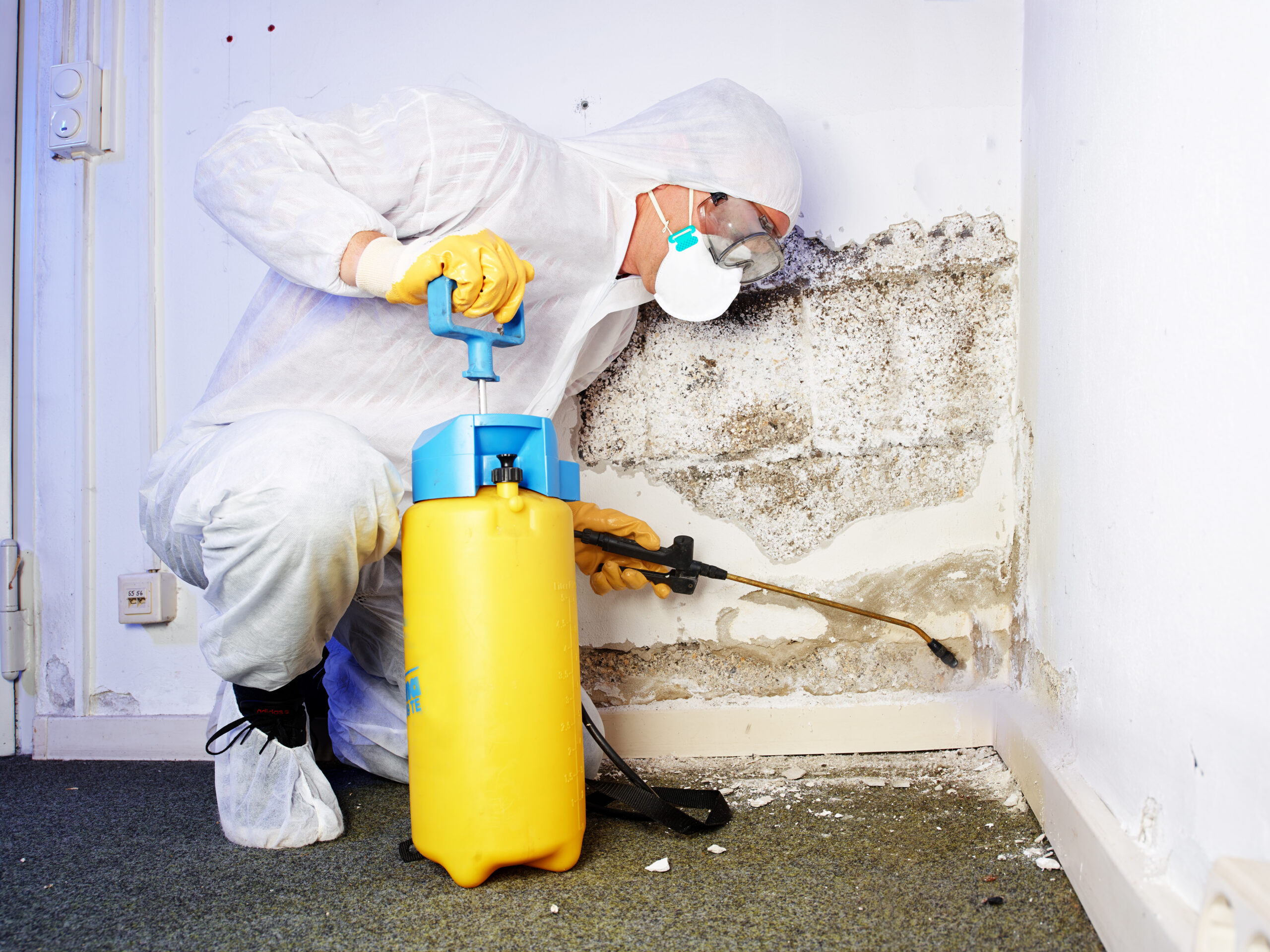 mould removal Penrith