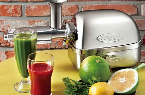 Angel Juicer 5500