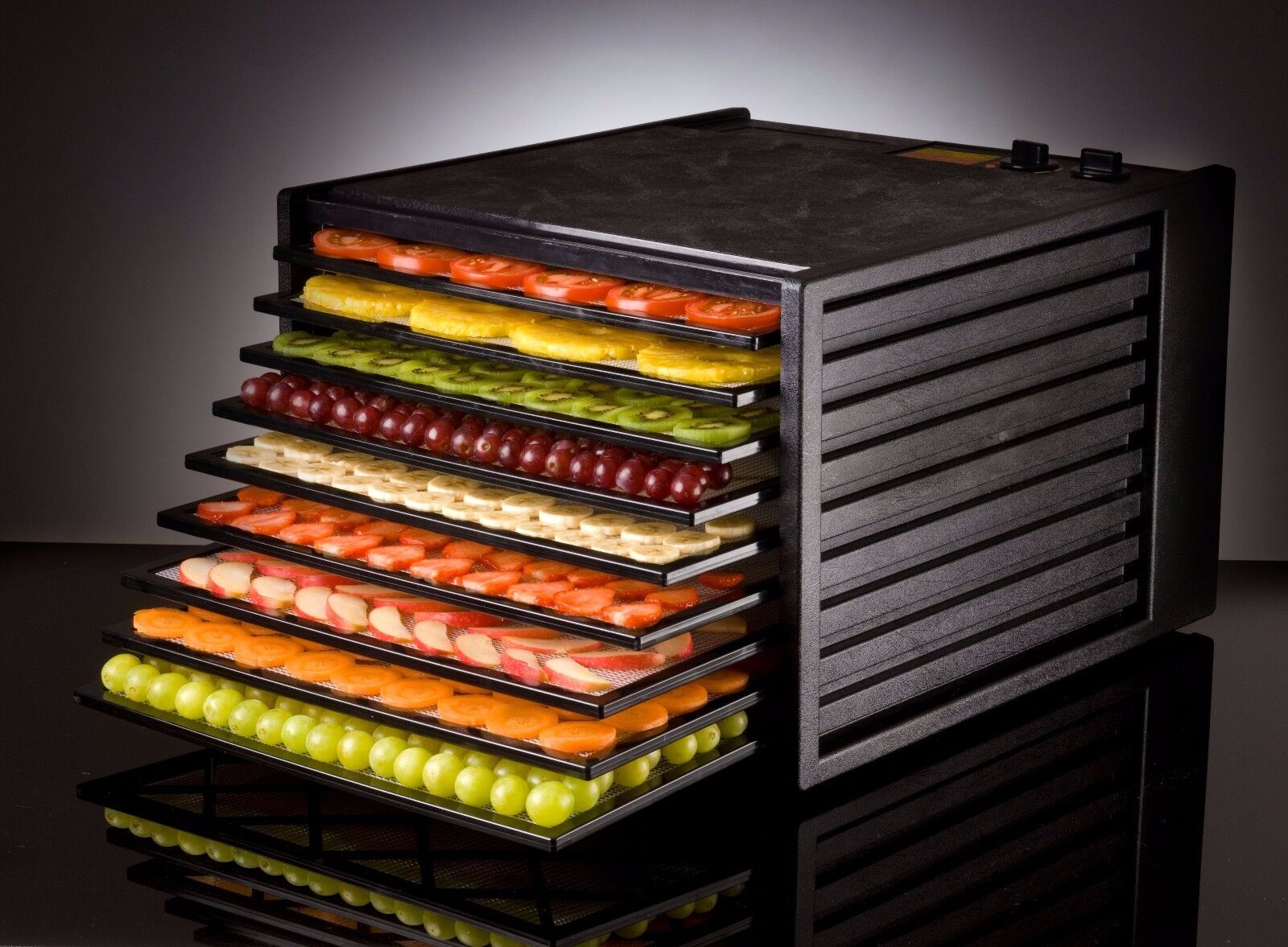 dehydrator excalibur australia