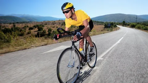 bicycle hire sydney