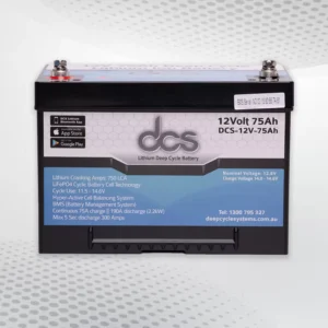 100 Amp Deep Cycle-batterij