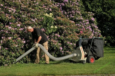 garden vacuum brisbane