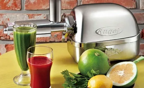Juice Press Machine