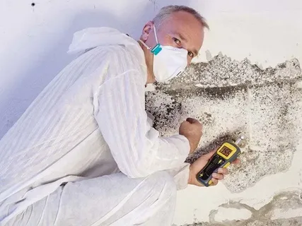 Mould Testing Sydney