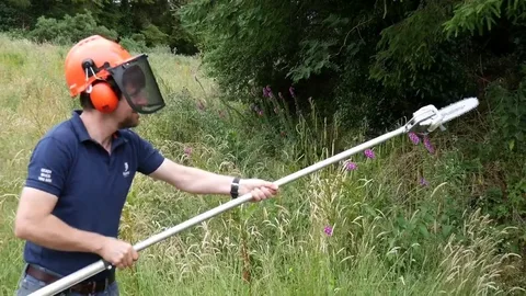 Pole saws Brisbane