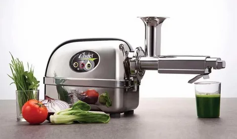 super angel pro juicer