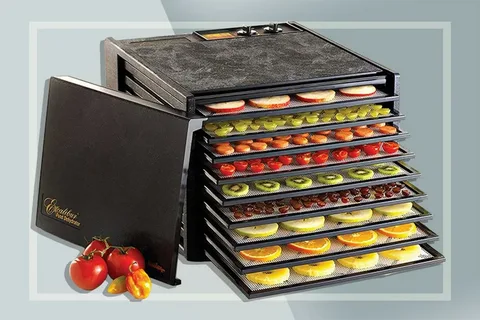 Best Food Dehydrator